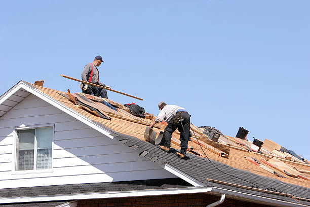 Best Skylight Installation and Repair  in Livonia, MI