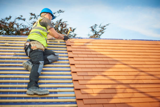 Best Roof Maintenance and Cleaning  in Livonia, MI
